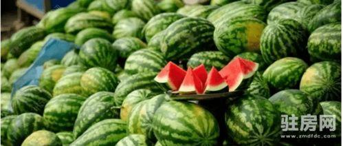 吃瓜爆料免费进广东,带你畅游广东美食之旅