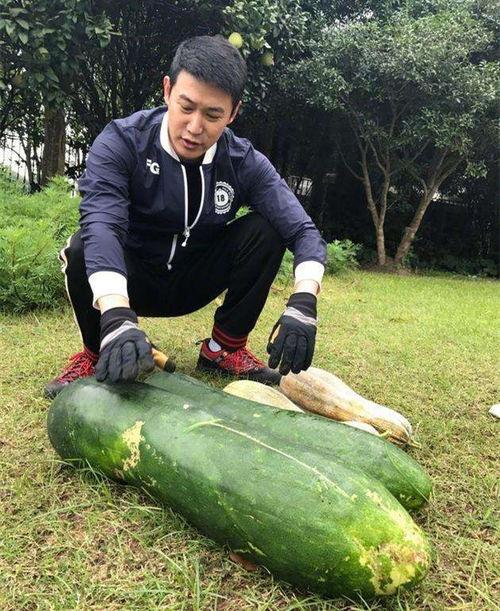石板岩吃瓜大爆料,娱乐圈幕后真相曝光