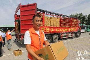 公交车爆料吃瓜,揭秘城市生活百态