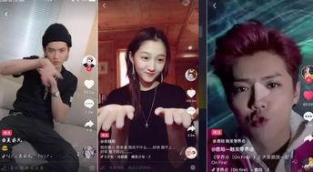 明星网红同台跳舞视频,明星网红同台热舞盛宴