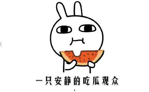 抖音黑料吃瓜网站,吃瓜网站带你探秘网红幕后真相