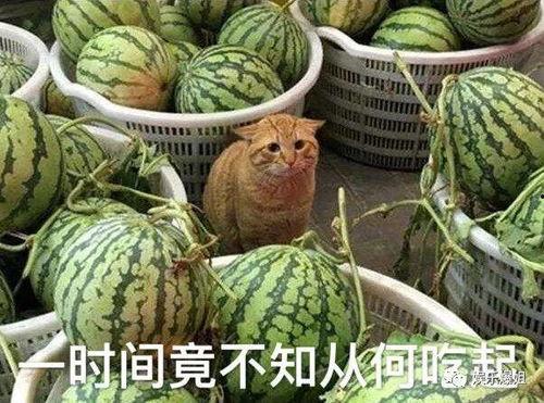 718爆料网红吃瓜,718爆料揭露娱乐圈幕后真相
