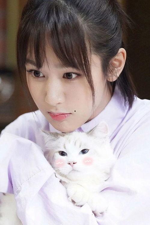 明星网红熊虎,网红明星的跨界传奇