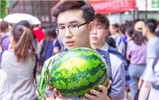 长清大学吃瓜爆料,揭秘校园风云背后的真相
