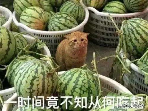 宁波吃瓜爆料渣男,渣男众生相，揭秘渣男真实面目