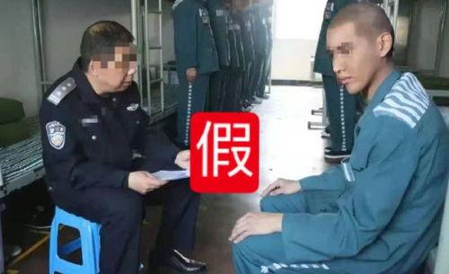 网警爆料吃瓜视频大全,吃瓜视频大全背后的真相与警示