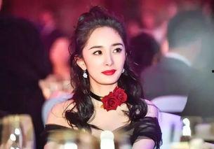 明星网红大腕,揭秘明星网红大腕的璀璨人生