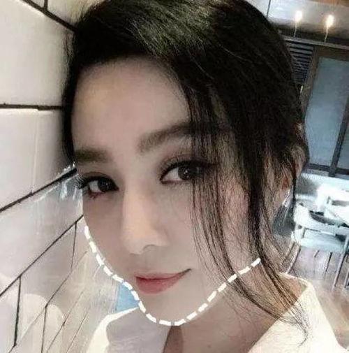 明星网红版,闪耀娱乐圈的璀璨星河