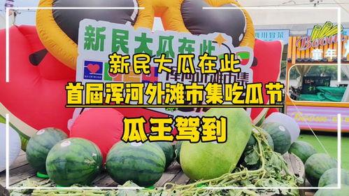 校园吃瓜大爆料合集,那些你不知道的幕后故事