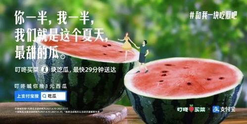 吃瓜图文爆料文案大全,吃瓜群众狂欢，揭秘娱乐圈幕后风云