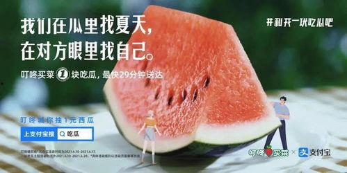 吃瓜图文爆料文案大全,吃瓜群众狂欢，揭秘娱乐圈幕后风云