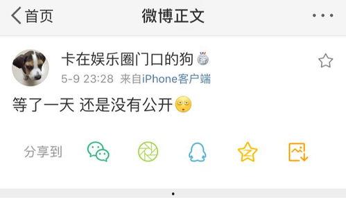 吃瓜爆料懂是谁,吃瓜爆料，揭秘明星幕后真相