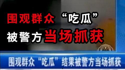 村干部吃瓜爆料新闻,吃瓜爆料背后的乡村风云