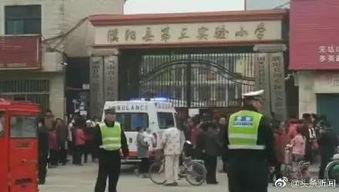 濮阳吃瓜爆料校园事件,揭秘背后真相与争议