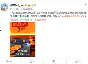 菏泽有什么明星网红打卡,菏泽明星网红打卡地探秘