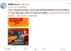 明星网红打卡,潮流风向标再升级
