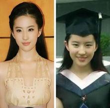 各明星网红图片大全