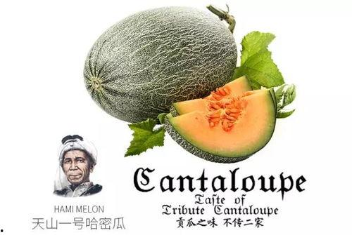 71c吃瓜爆料,揭秘娱乐圈背后的惊人真相