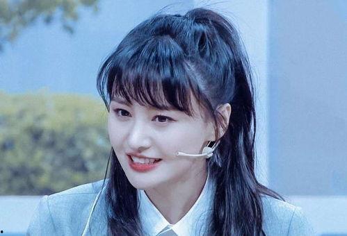 明星网红算什么身份