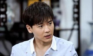 明星网红算什么身份