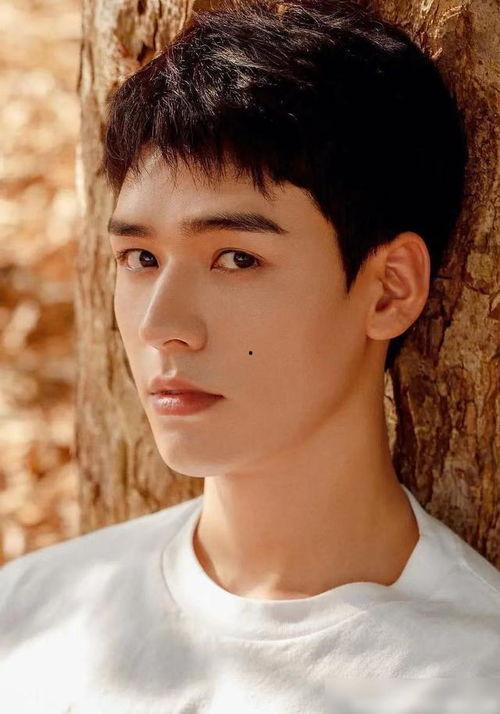 龚俊最新吃瓜爆料,揭秘明星背后的真实故事