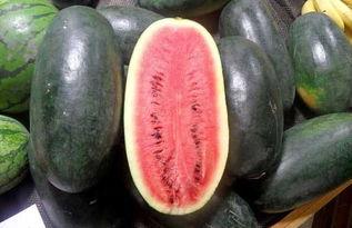 黑料吃黑瓜网被抓