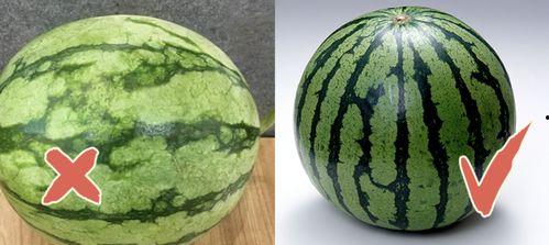 网红吃瓜爆料热点,最新吃瓜爆料，热点事件背后的真相大起底