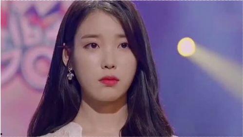 明星网红公司,引领潮流的数字影响力新纪元