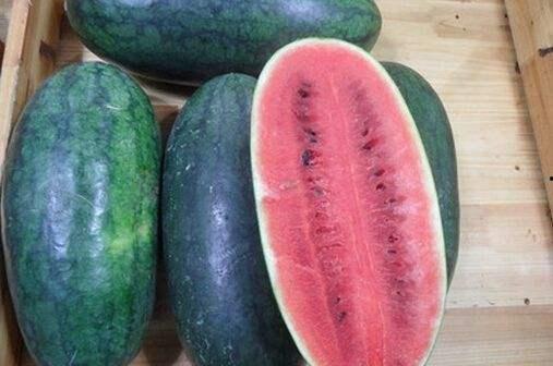 正能量黑料吃瓜导航,吃瓜导航带你探索网络正能量背后的真相