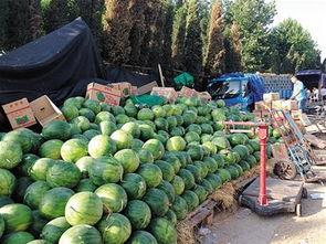 九一黑料吃瓜官方下载,带你走进神秘事件背后