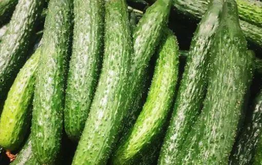 911吃瓜爆料有毒吗