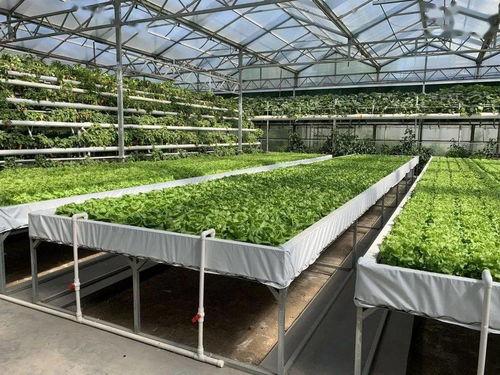 每日大赛吃瓜爆料57,揭秘赛场背后的精彩瞬间