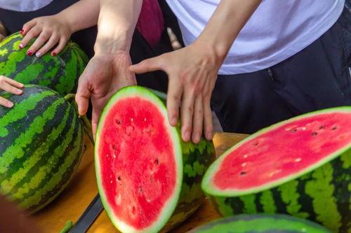 吃瓜爆料免费进学校