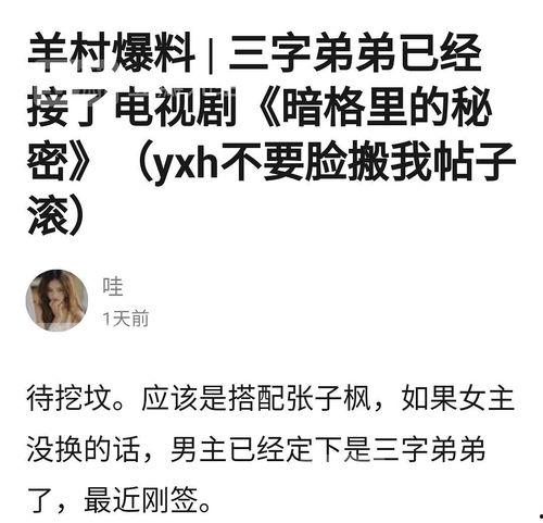 吃瓜爆料首页怎么进,一键解锁热门八卦资讯