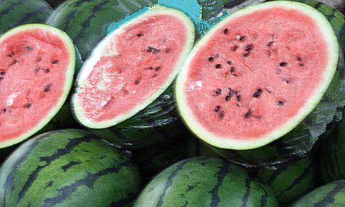 511黑瓜吃料网,美食探索者的天堂