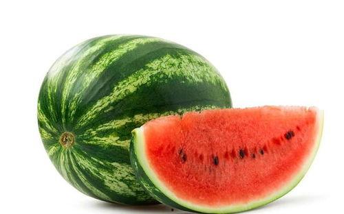 511黑瓜吃料网,美食探索者的天堂