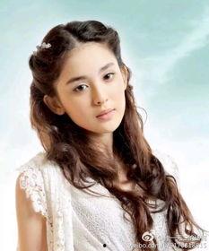 来新疆的明星网红