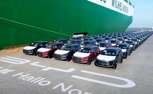 比亚迪吃瓜爆料事件,揭秘背后真相与争议