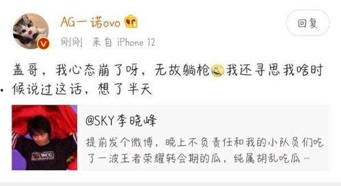 kpl吃瓜最新爆料ag,AG战队内部风云再起，神秘事件引热议