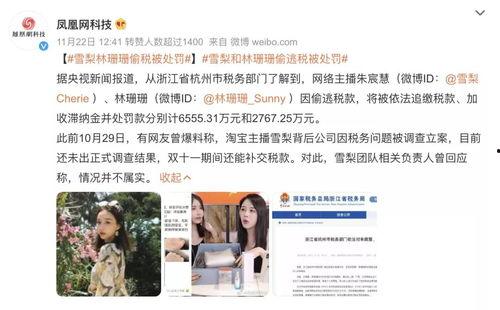 明星网红偷漏税,税务监管与公众监督的双重挑战