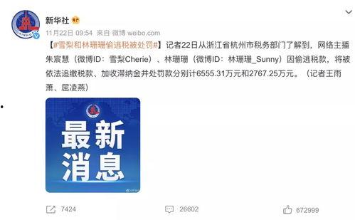 明星网红偷漏税,税务监管与公众监督的双重挑战