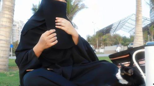 娱乐吃瓜君17集